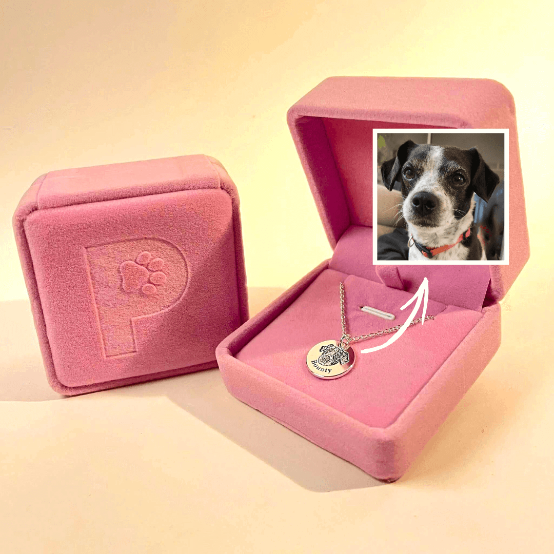 Collier Portrait Animal