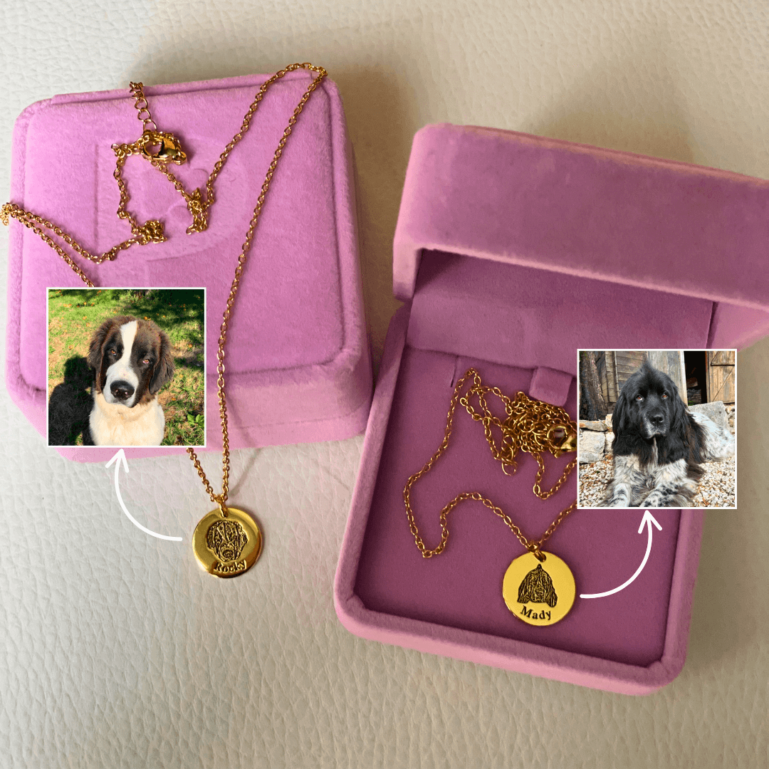 Collier Portrait Animal